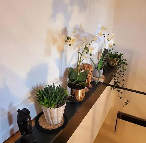 Apartamento Duplex Boheme Chic